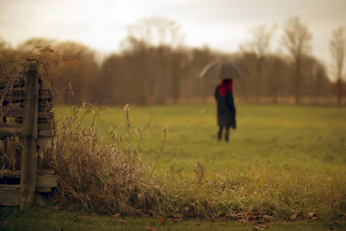 Эти отношения напоминают психотерапию, но с вирусом вместо врача и постепенным растворением «Я» вместо исцеления