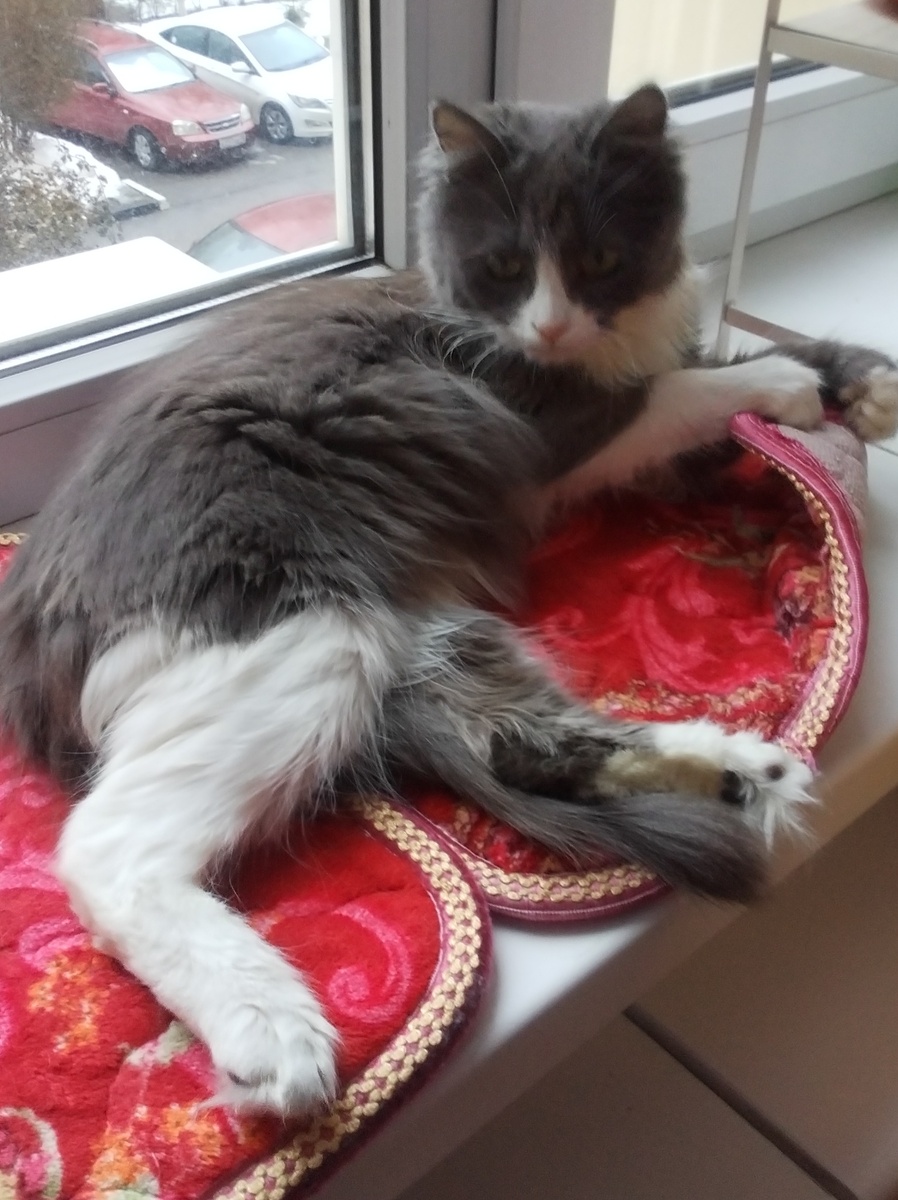 Фото автора