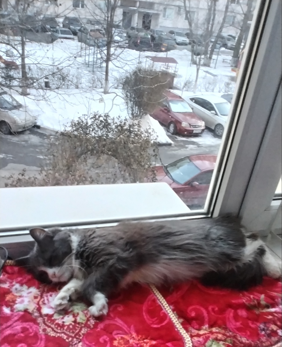 Фото автора