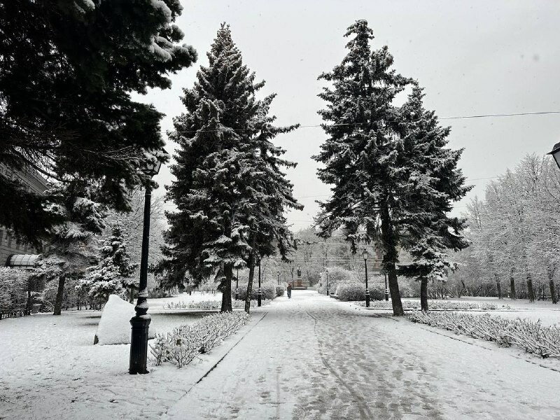     Фото: Бриф 24