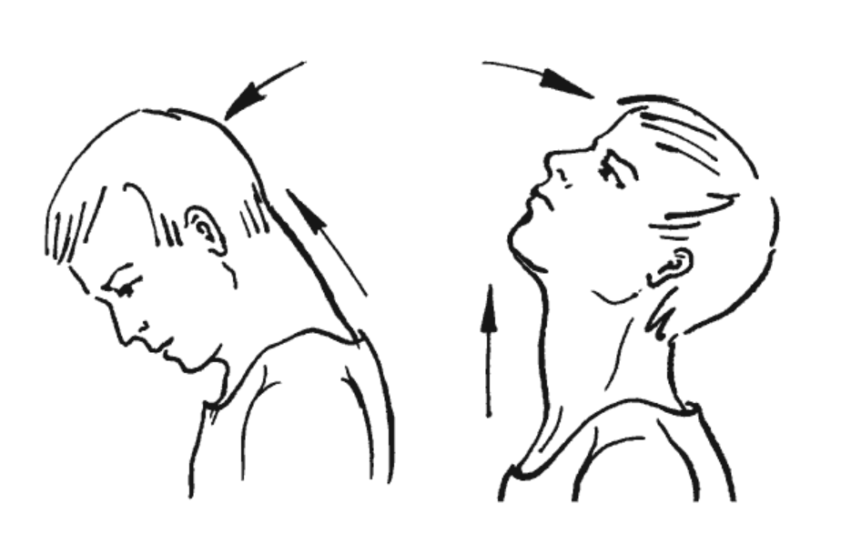 Наклоны головы вперёд назад. Источник: https://iknigi.net/avtor-petr-popov/121903-beg-vmesto-lekarstv-v-lyubom-vozraste-petr-popov/read/page-7.html