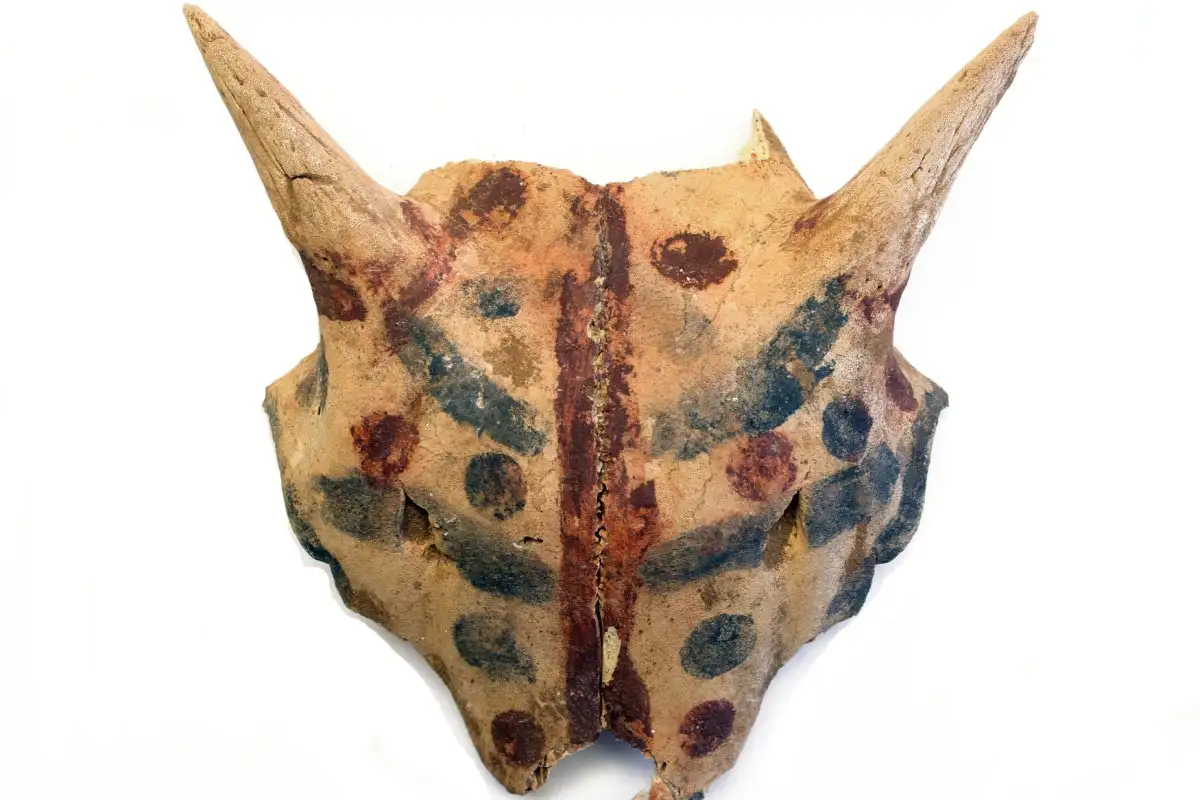 Культура пан-погребений известна своими черепами крупного рогатого скота, расписанными геометрическими узорами / Gustavianum/Uppsala University Museum/ Aaron De Souza;