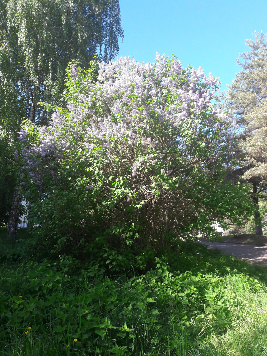 Фото автора.