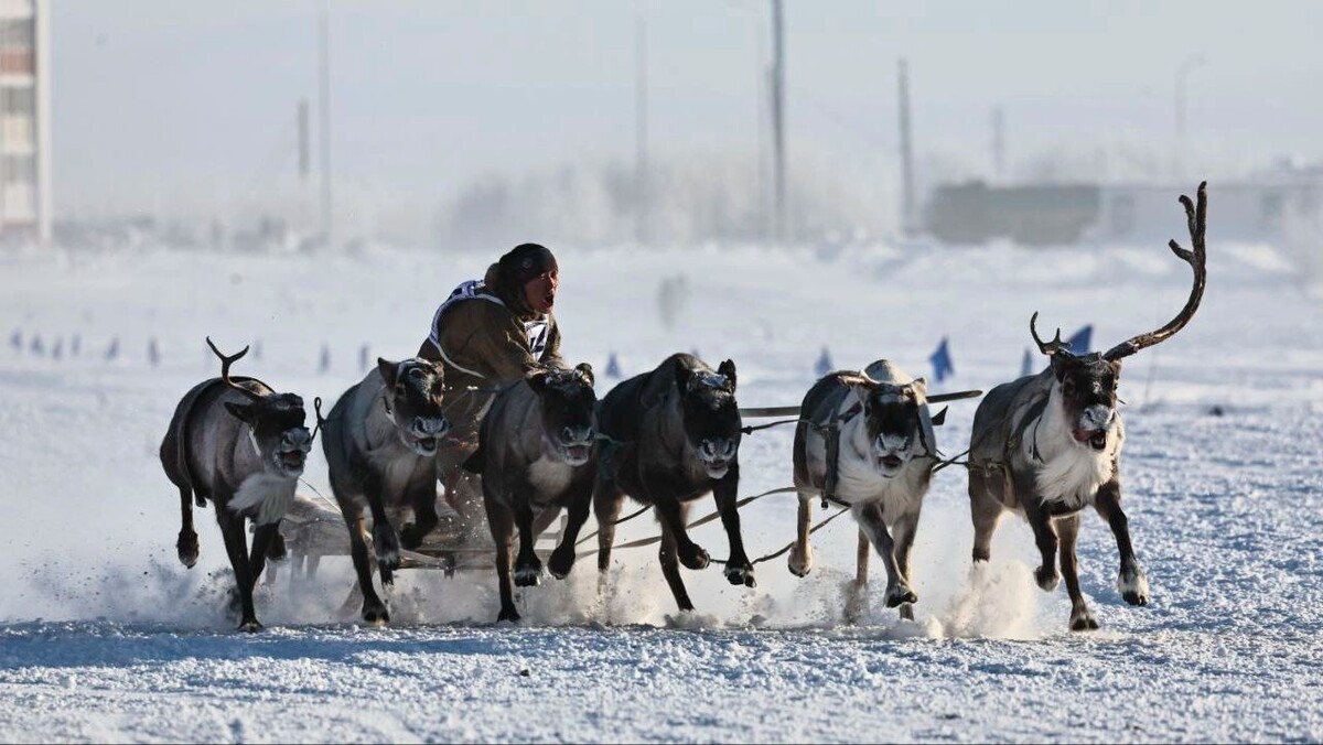    Фото: Никита Погодин/«Ямал-Медиа»