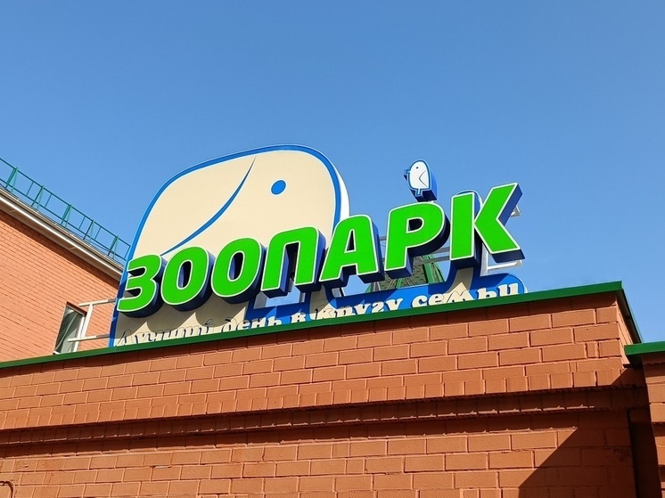     Екатеринбургский зоопарк. Фото: Николай Курилов / МК-Урал.