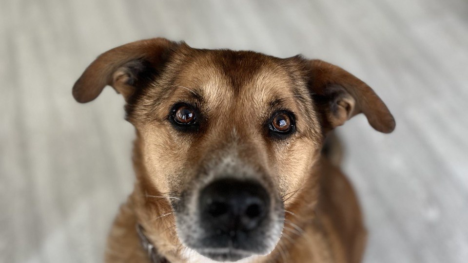 Тим всё ещё в приюте…