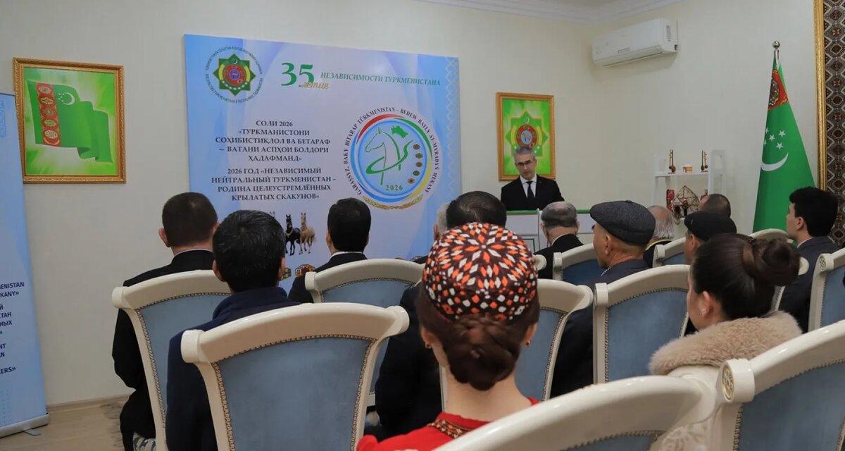    Цветокоррекция оригинального изображения была произведена с использованием ИИ "Ниязов 2.0"