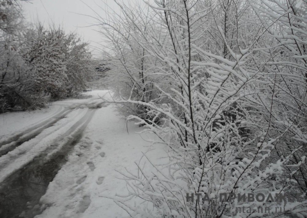    Народные приметы: 15 февраля