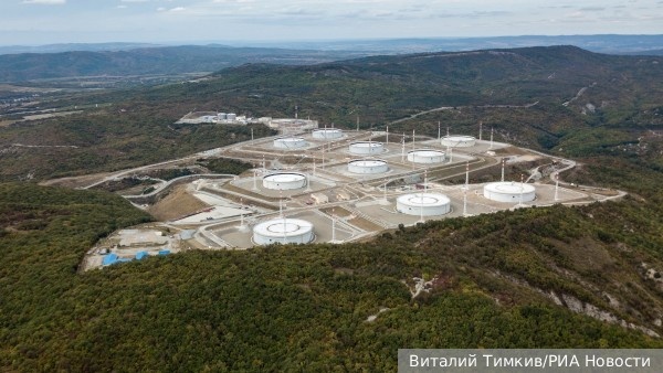     Фото: Виталий Тимкив/РИА Новости   
 Текст: Дмитрий Зубарев