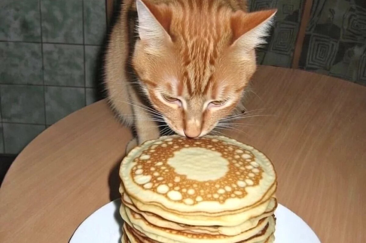    Сито, масло и половинка луковицы.