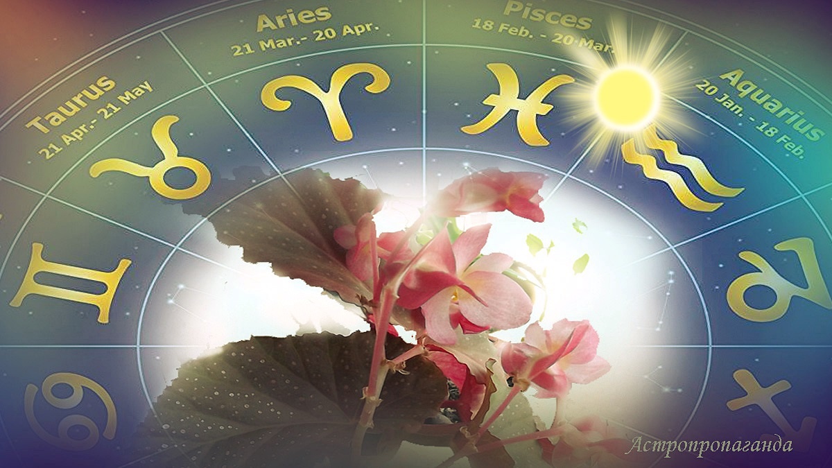 Гороскоп с 16 по 22 февраля 2026: восточный год Огненной Лошади наступает в солнечное затмение | Недельный гороскоп