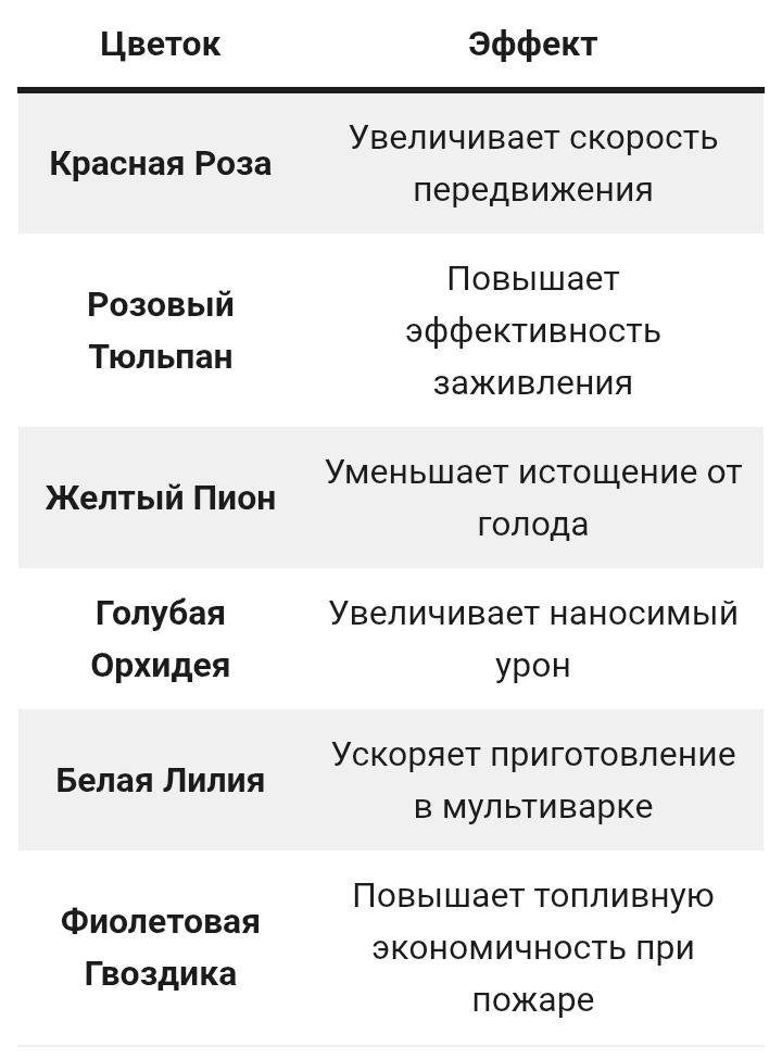 Фото из интернета