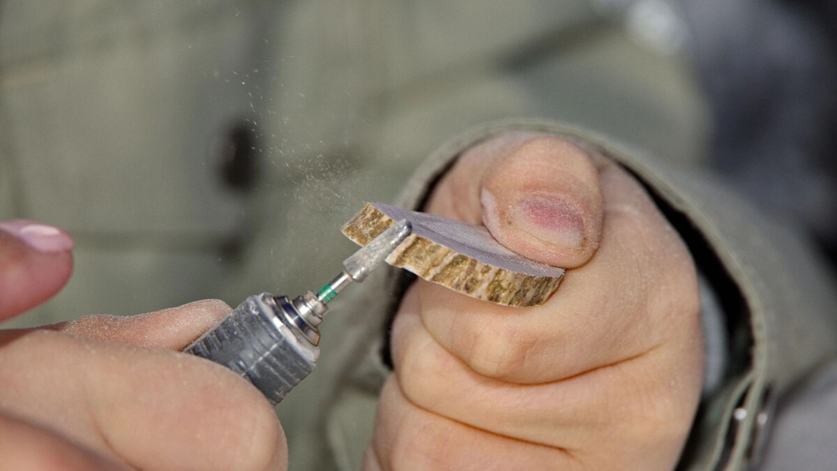    Фото: Василий Петров / «Ямал-Медиа»