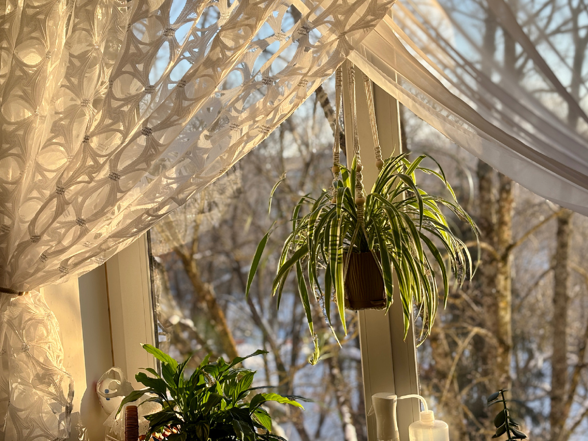 Морозное солнечное утро февраля. Минус 23 за окном