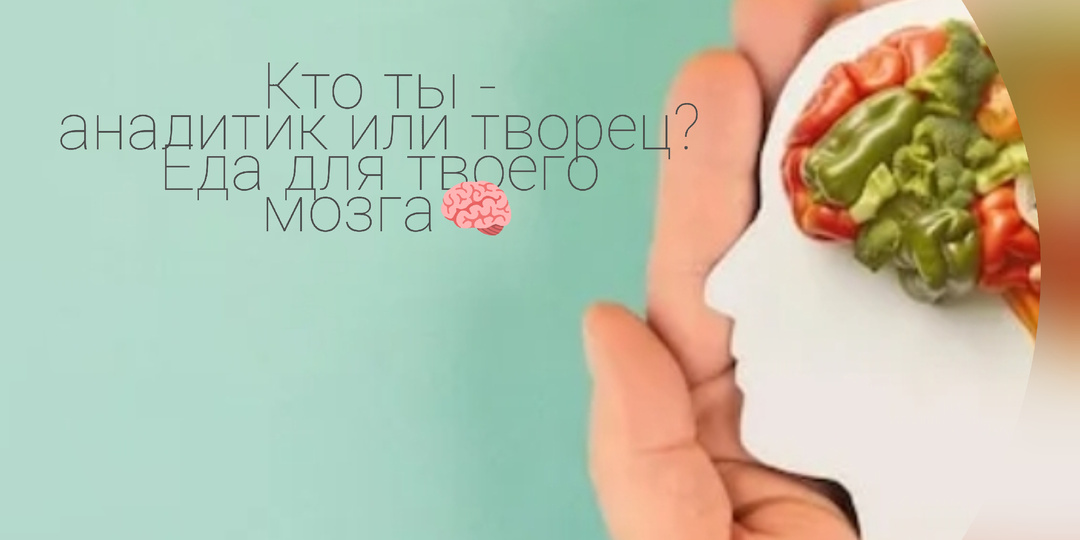 Программисты и художники едят по-разному: научный подход к питанию для ума (и лайфхак для экзаменов)