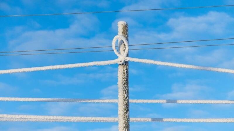    Фото: Фёдор Воронов/«Ямал-Медиа»