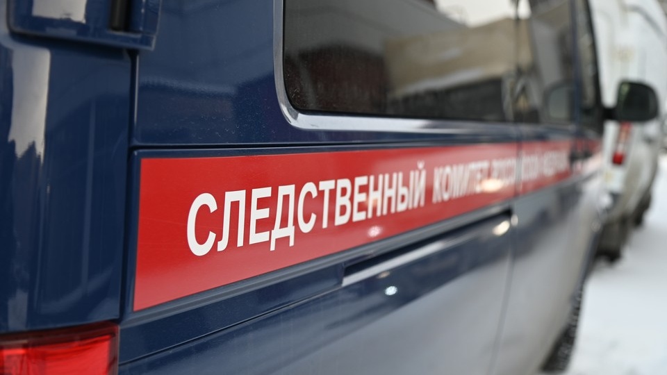 «Смотреть невозможно»: в Междуреченске подростки жестоко избили девушку-инвалида и записали это на видео