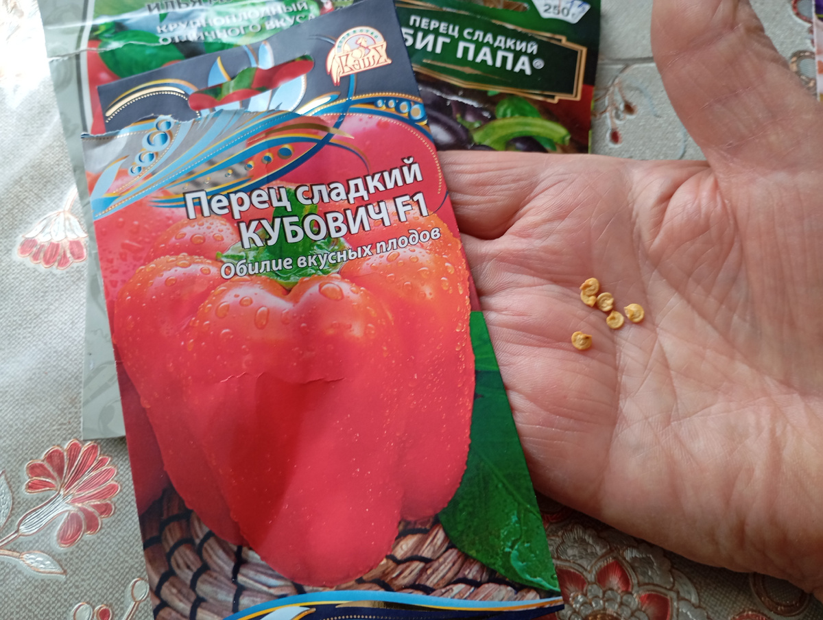 Фото автора.