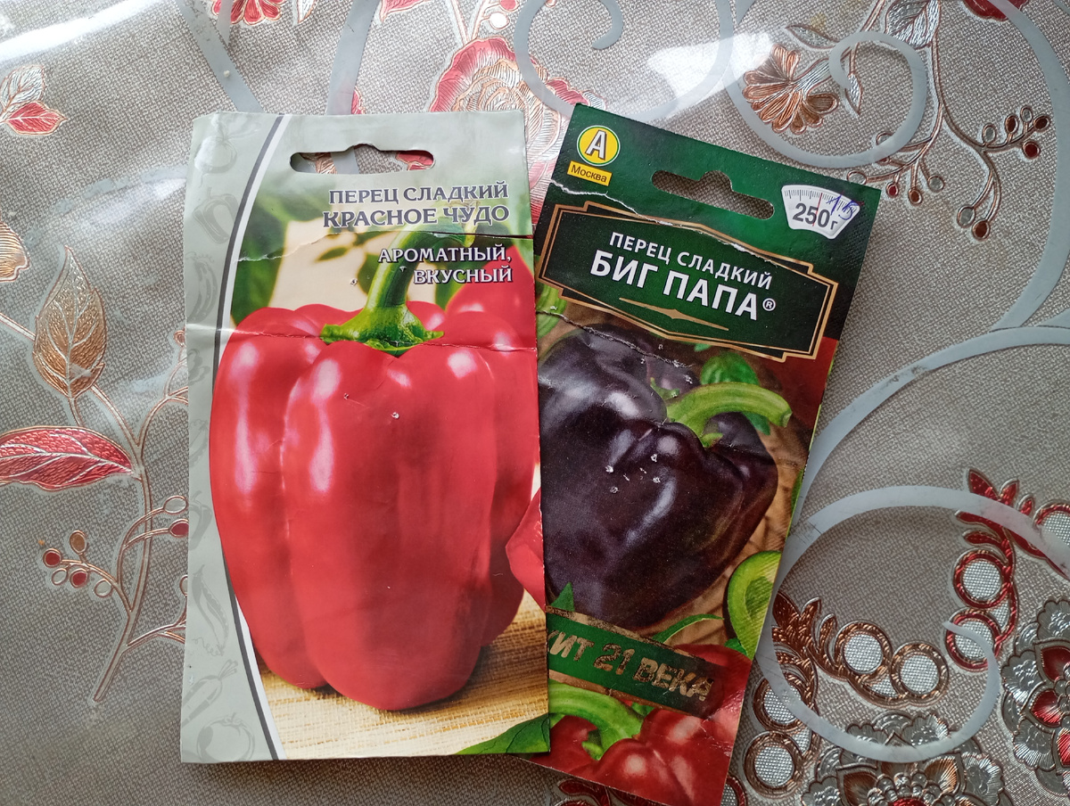 Фото автора.