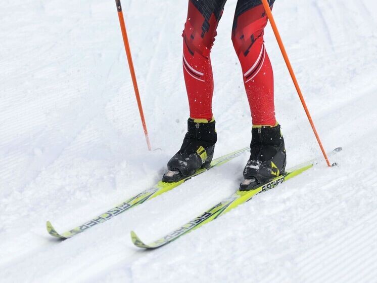     Фото: Андрей Ткачев/«Ямал-Медиа»