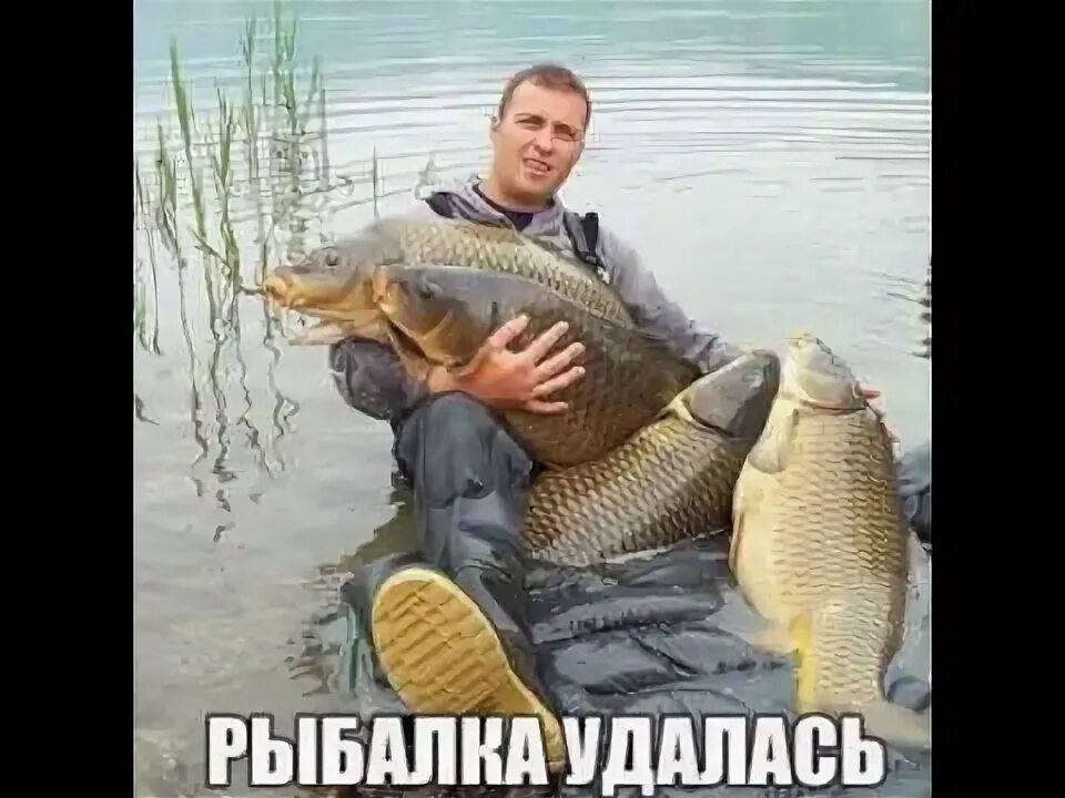 Из открытых источников. Не мой улов. 