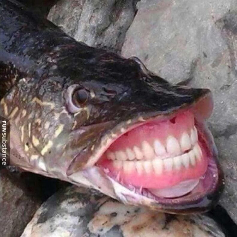 Фото из интернета. 