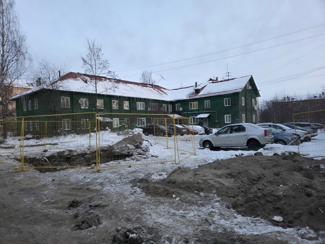    Надежда Дрейзис / VK