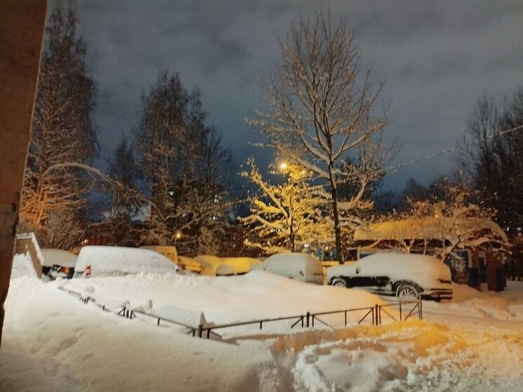     Уже завтра погода смягчится: ночью ожидается -13…-15, днём -7…-9. Фото из архива "МК в Питере"