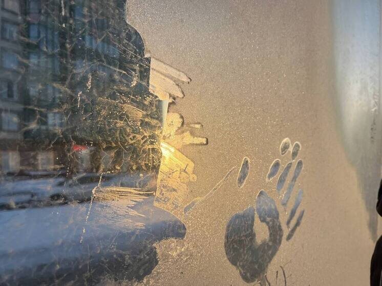     Фото: архив «МК в Калининграде».