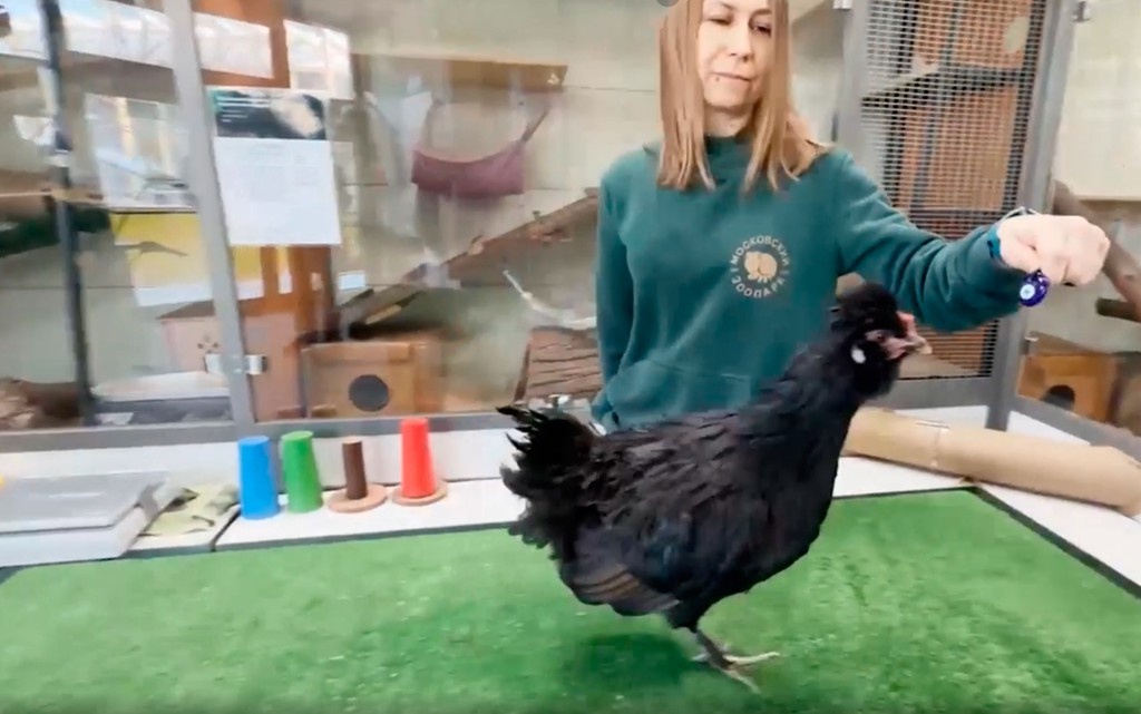    Фото © Московский зоопарк