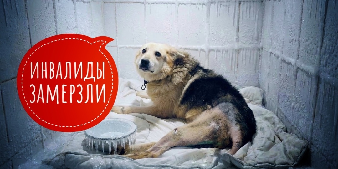 Спасем инвалидов от холода! Люди, они замерзают!