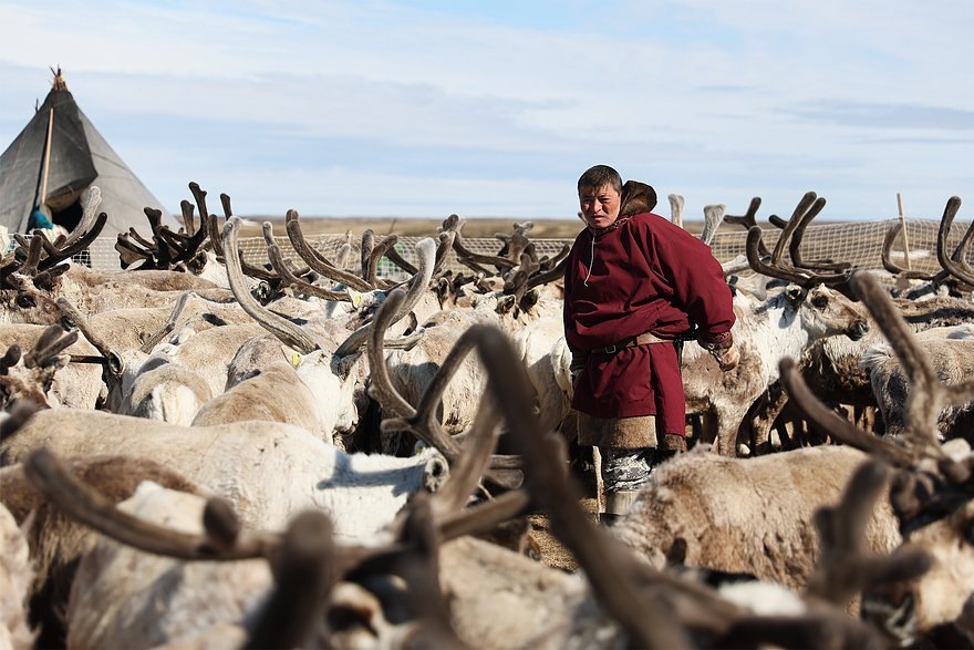    Фото: Донат Сорокин / ТАСС