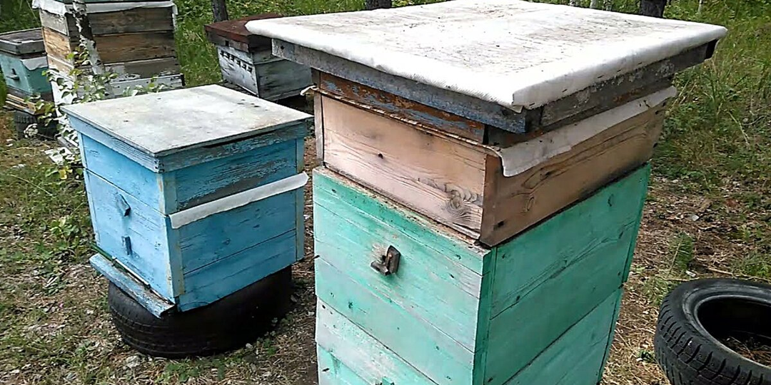 Двухкорпусный одностенный улей изготовление