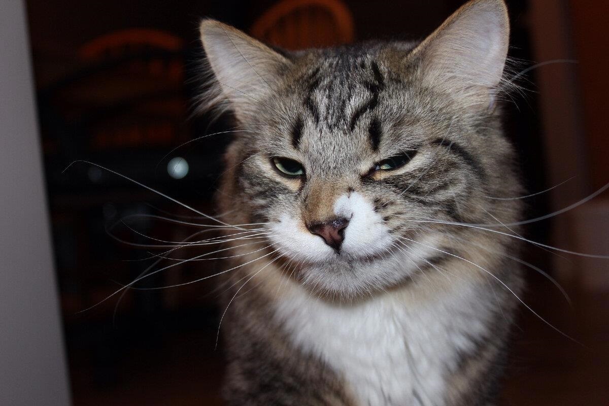 Фото с сайта: https://author.today/post/656698