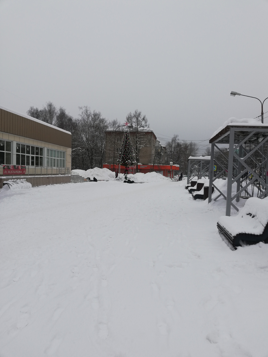 В пятницу иду на работу, а возле Дворца культуры наконец-то разбирают елку.