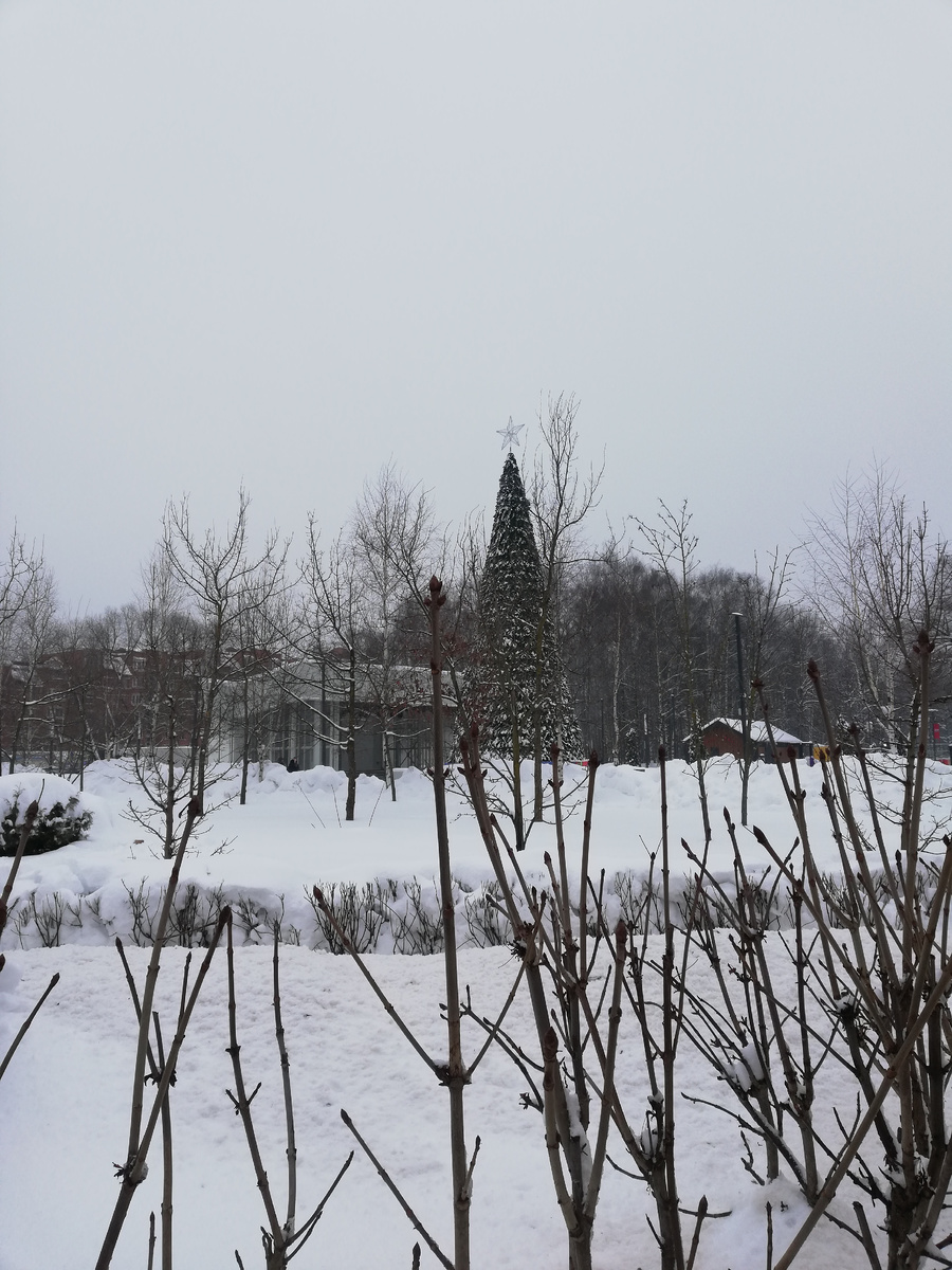 А в парке все ещё стоит. Недолго осталось, пора готовиться  к проводам зимы. 