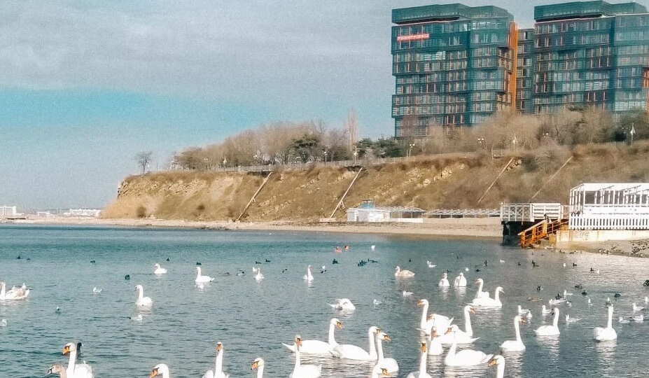 Возможно идеальный вариант это не строительство курорта Новая Анапа, а развитие и изменение самой Анапы!