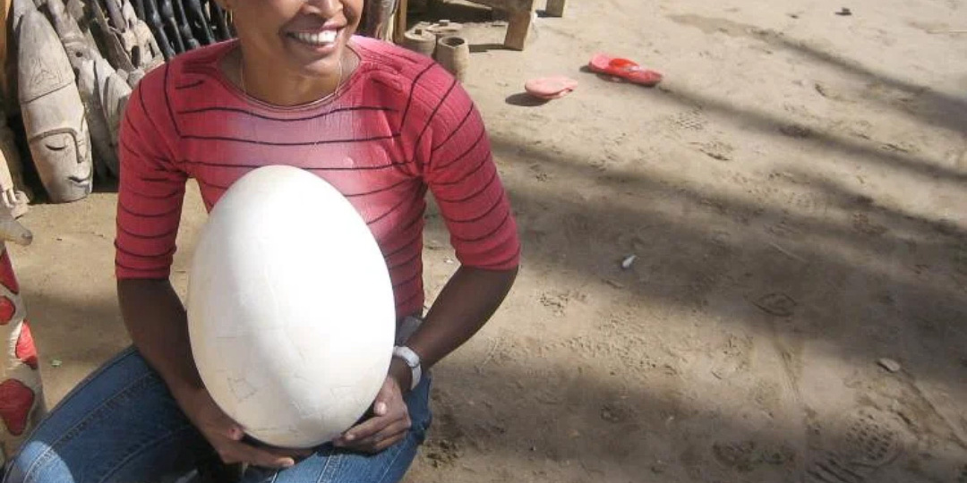 Какой птице принадлежат такие яйца? Не страус 😉