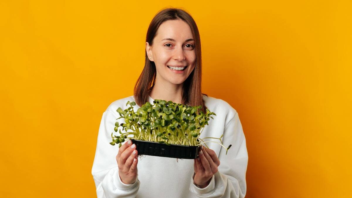    Лоточек с микрозеленью поместится на любом подоконнике, а выращивание этой витаминной бомбы потребует минимальных затрат / Фото: Shutterstock