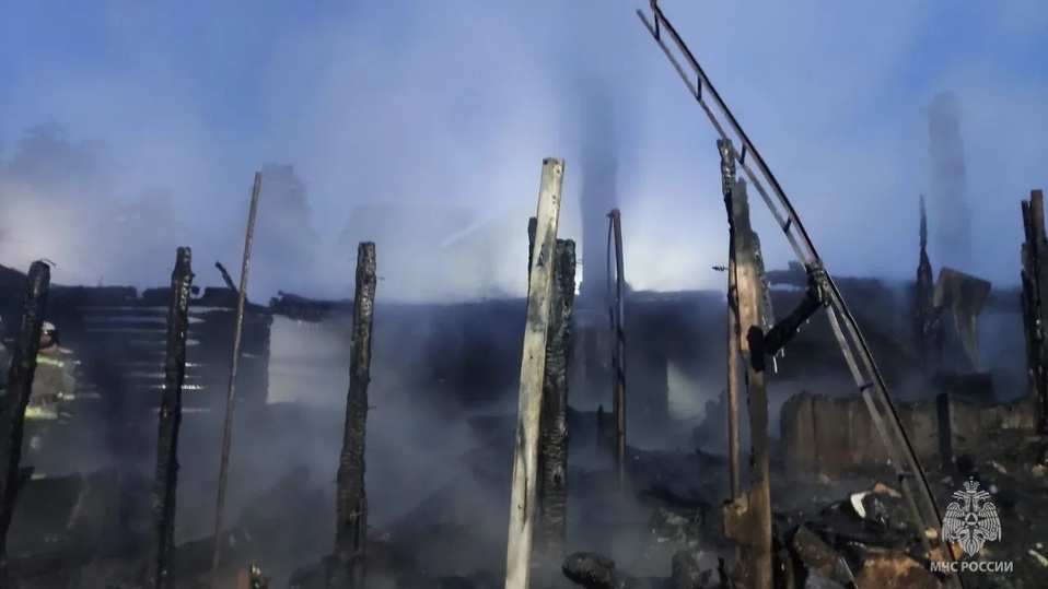     Фото: пресс-служба МЧС Санкт-петербурга