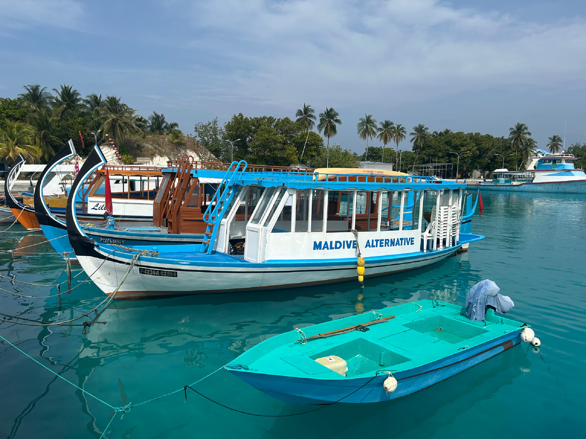 В северной гавани. Фото автора