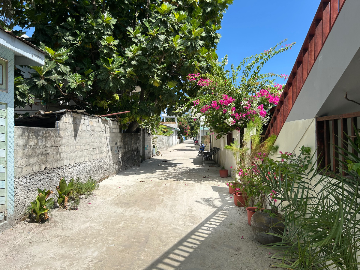 Длинный островной переулок. Фото автора