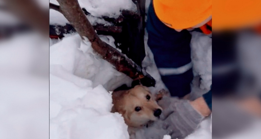    @заметки_спасателя