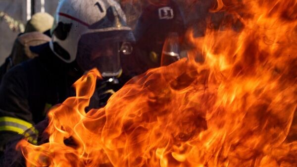    © РИА Новости Крым . Дмитрий Макеев