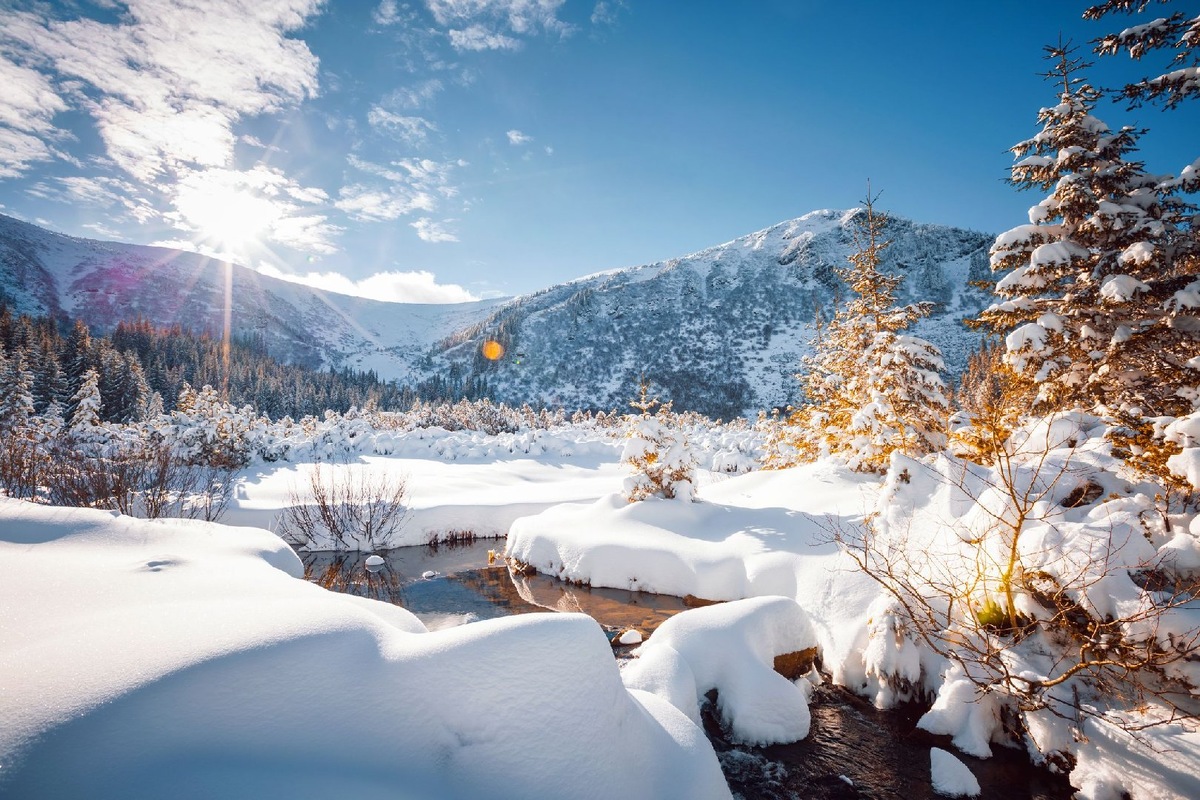    Фото: iStock/ leonid_tit