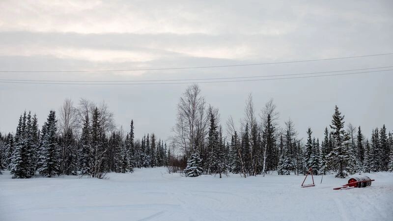    Фото: Сергей Зубков/«Ямал-Медиа»