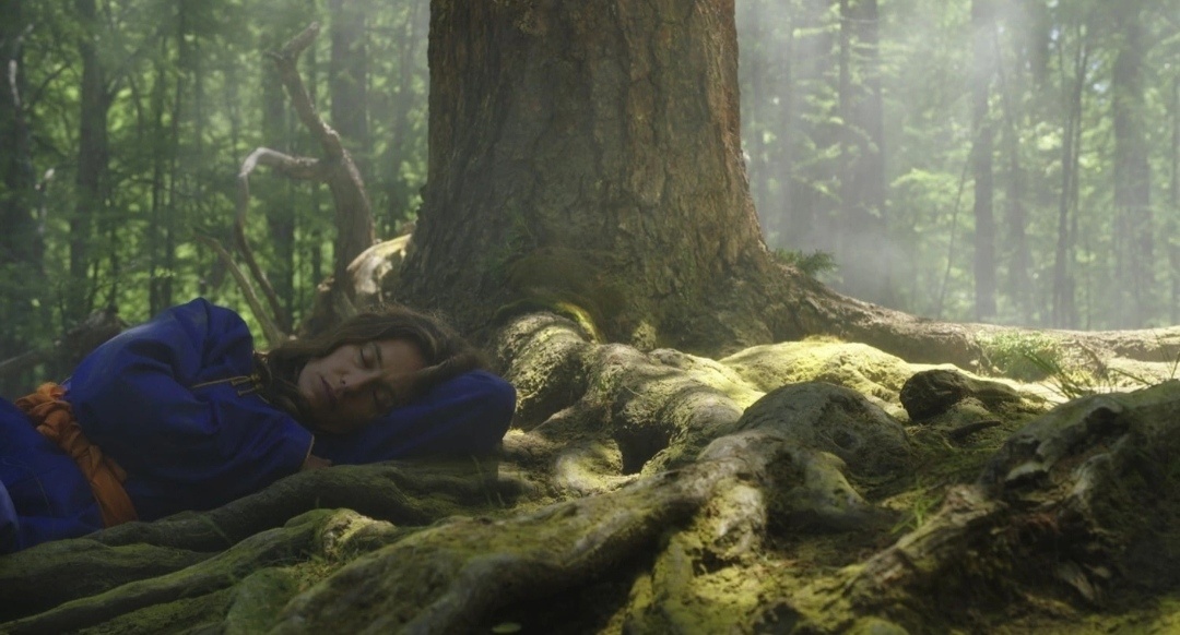 БОЛЬШОЙ МИР (2019, ФРАНЦИЯ, БЕЛЬГИЯ)