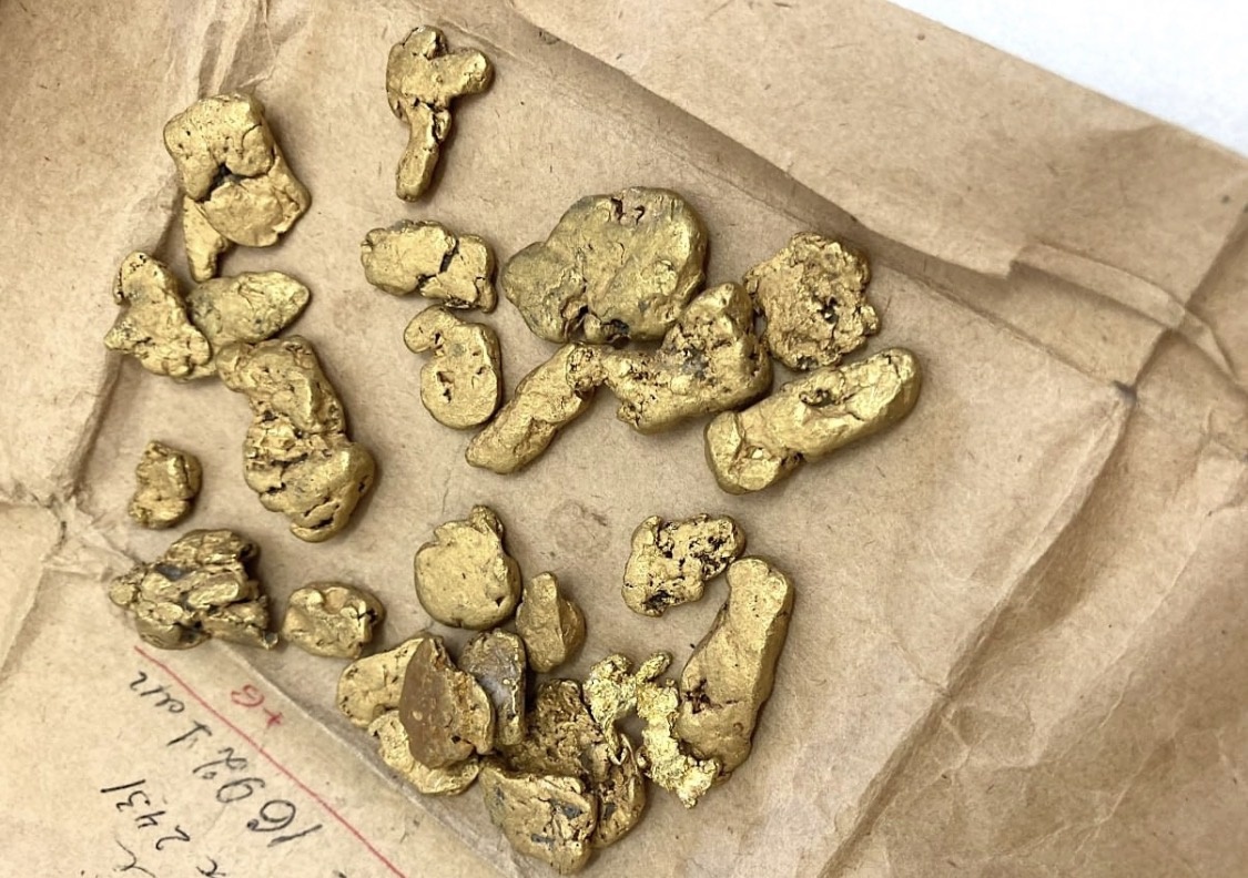 Самородки золота с россыпного месторождения. Фото: АО «Якутскгеология». Источник: t.me/rusgeology.