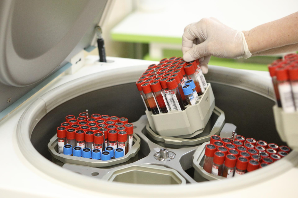 Автор фото: Лидия Верещагина