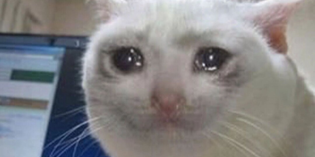 Названы регионы, где «быстрее всего растут зарплаты». Красноярского края там нет